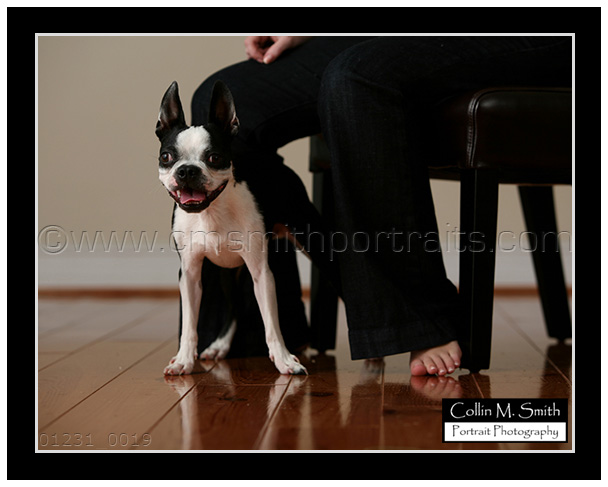 01231fb-019 01231fb-019